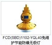 FCDSBD1102免维护节能防爆无极灯批发