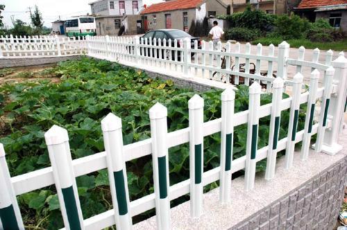 供应济宁PVC花园护栏围墙绿化护栏