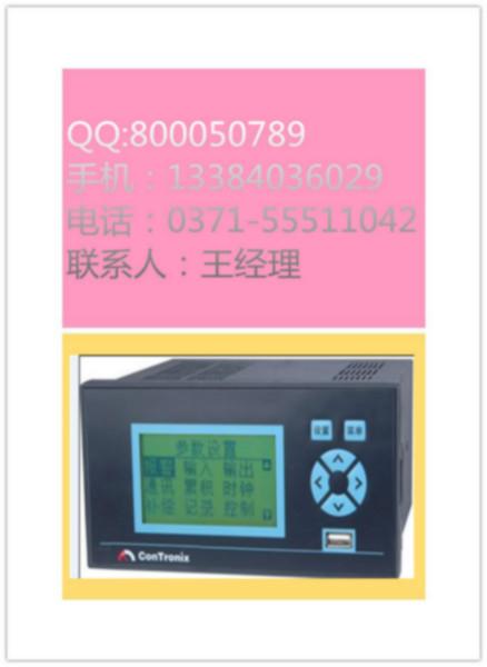 供应库房温湿度记录仪YP1000R经济型无纸记录仪电流电压记录仪图片