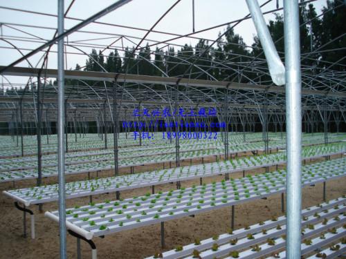 供应用于无土栽培技术|水培技术的东莞智能温室无土栽培技术加盟