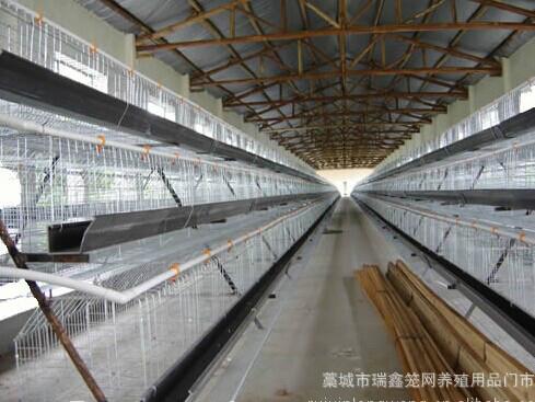 供应蛋鸡笼生产厂家，蛋鸡笼，鸡笼配件，阶梯式鸡