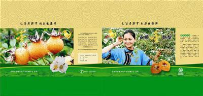 供应安顺金刺梨直销，贵州无籽刺梨厂地，无籽刺梨生产基地