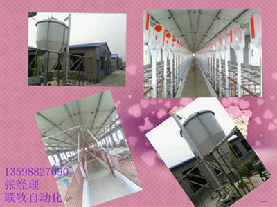 供应猪场自动化供料系统安装工程