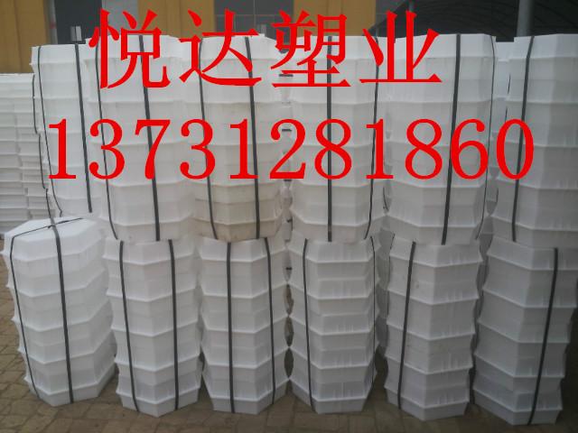 供应黑龙江六角护坡塑料模具纯原料模具设计制作