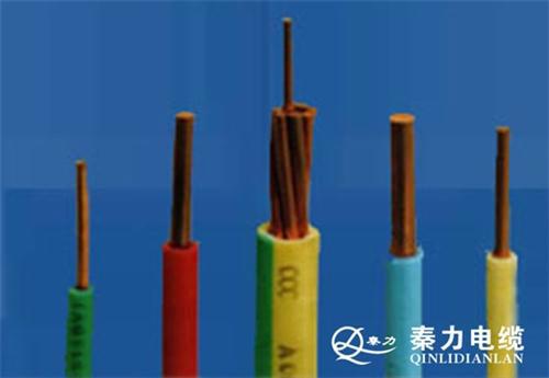 西安bv电线价格、DYJ电线、陕西秦力电缆厂图片