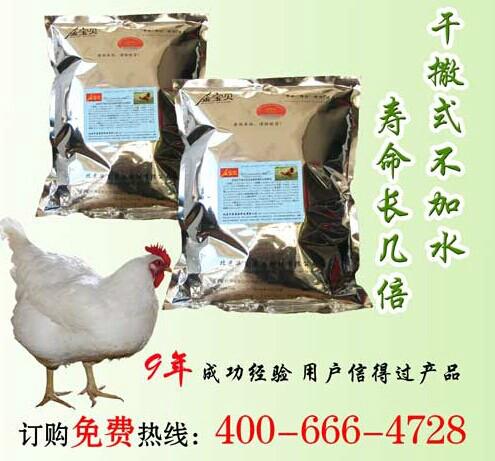 供应鸡粪处理技术菌种金宝贝干撒式发酵床养鸡