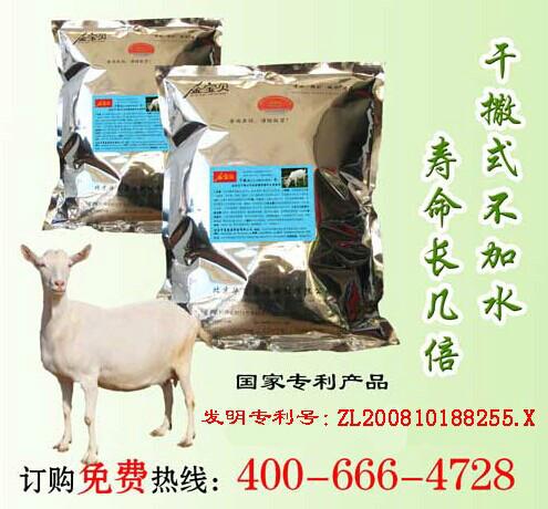 供应夏季养羊防暑降温技术要点金宝贝干撒式发酵床养羊菌种菌剂招商