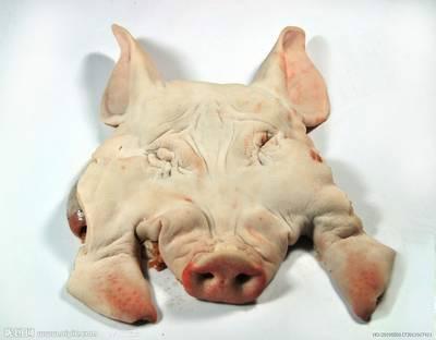 常州地区网上推广西班牙冷冻猪皮猪口条猪鞭猪肚猪脸皮