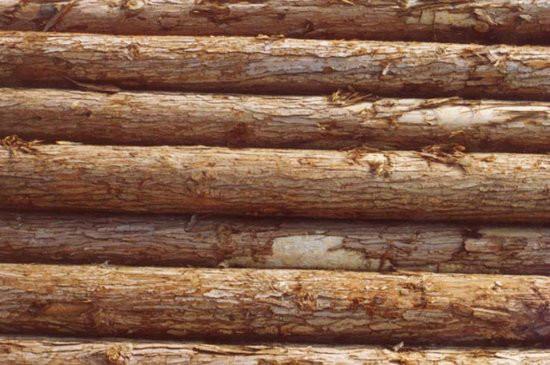 木材进口报关需要那些费用黄埔港木材进口如何报关,木材进口报关需要那些费用