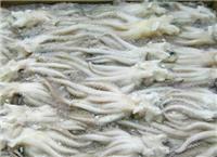 供应冷冻秋刀鱼-明太鱼批发厂家-昆明供应带鱼-进口海鳗批发