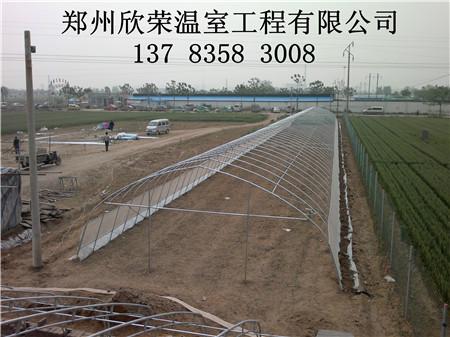 郑州蔬菜大棚建设几字钢温室建造供应郑州蔬菜大棚建设几字钢温室建造
