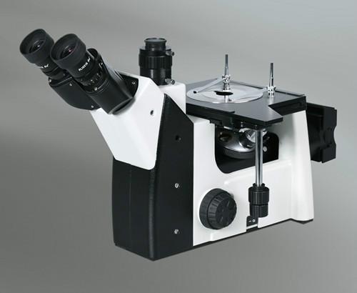 XTL-12B三目倒置金相显微镜批发
