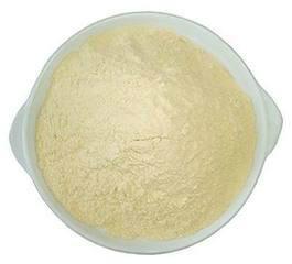 供应 高钙饲料贝壳粉饲料补钙营养剂饲料高钙添加剂