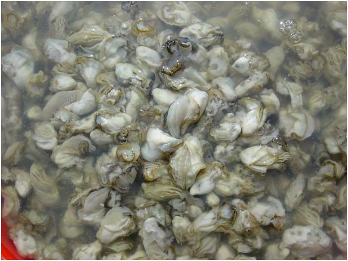 供应牡蛎冻干粉
