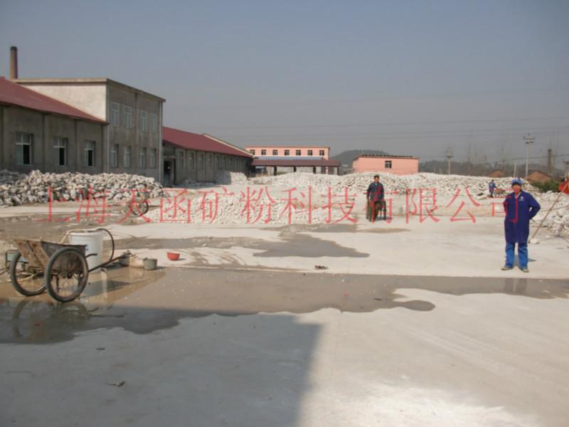 供应上海针状硅灰石粉，用于pa改性的针状硅灰石