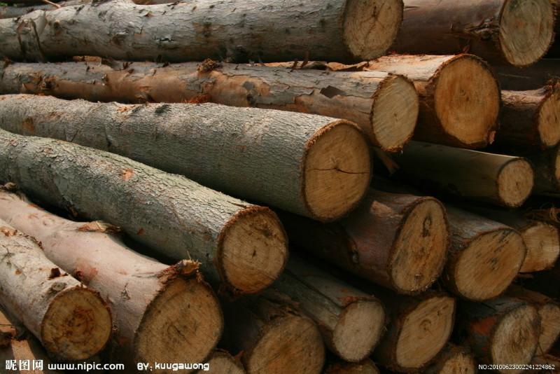 非洲木材进口代理原木进口报关批发