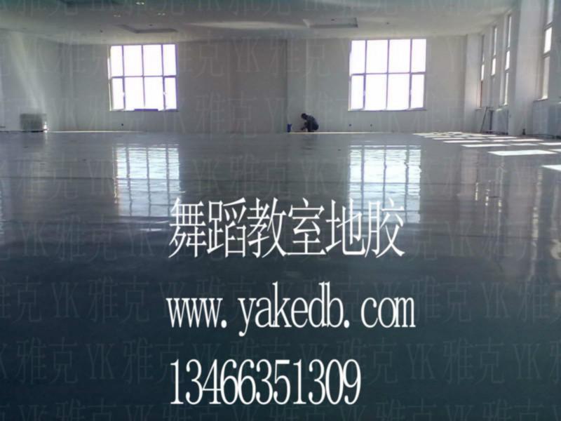 供应安徽舞蹈学校专用地胶板