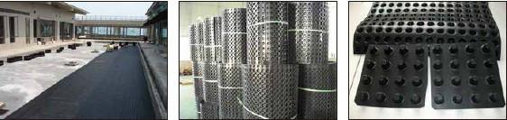 供应上海金纬机械PE蓄排水板生产线，高产量PE排水板设备厂家直销