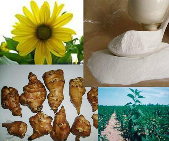供应菊粉保健食品原料可用于乳饮料酸牛奶中