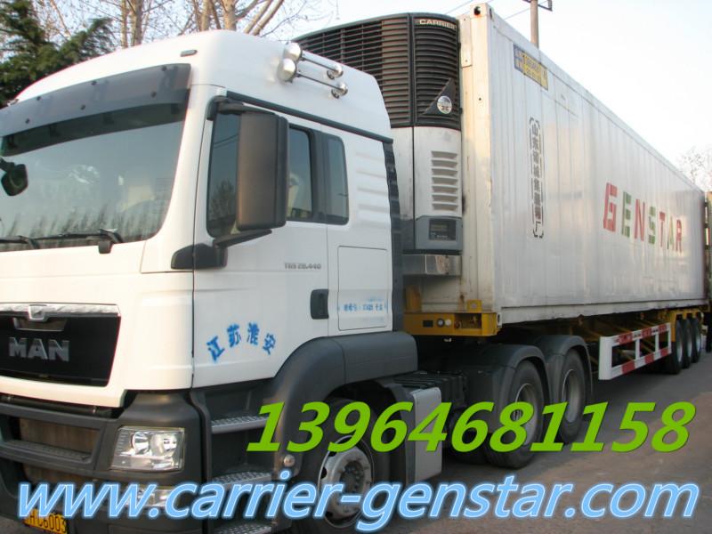 供应GENSTAR冷藏车专用15米冻柜  冷运集装箱十五米安装售卖图片