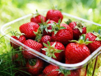 鞍山市区草莓种植园批发