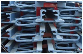 供应e型伸缩缝（GQF-E型）-桥梁伸缩缝厂家直销图片