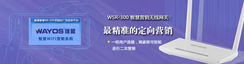 WSR-300批发