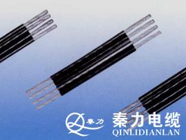 供应JKLVS平行集束电缆架空电缆厂家优质集束导线