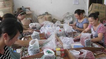 供应杭州西湖地区手工活加工圆珠笔加工中性笔加工家庭做手工