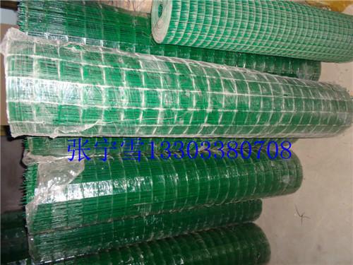 供应金龙PVC电焊网