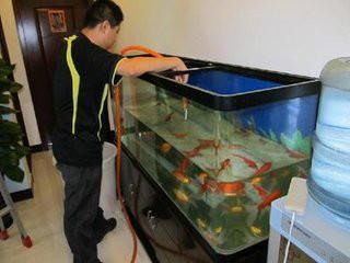 供应杭州清洗鱼缸鱼缸换水鱼缸消毒