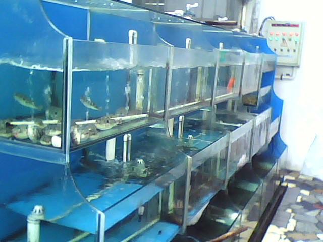 深圳大众玻璃厂鱼缸定做海鲜池设计批发