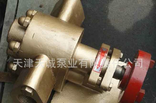 供应天津锡青铜齿轮泵TTB/不锈钢齿轮泵/耐腐蚀齿轮泵/防爆齿轮泵