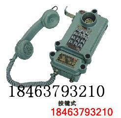 供应HBZ（G）K-1型矿用本安型防爆电话价格,供应商，厂家，山东。图片