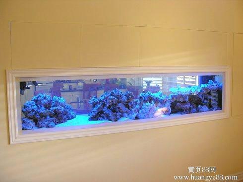 供应深圳龙华亚克力鱼缸设计图鱼缸图片新华大型亚克力鱼缸定做