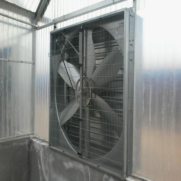 供应重锤式风机  大棚风机  温室大棚降温系统 农业工具
