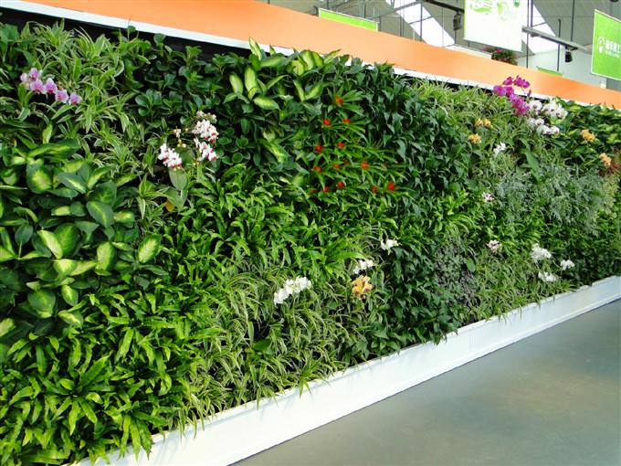 供应仿真植物墙绿植墙景观定做草墙