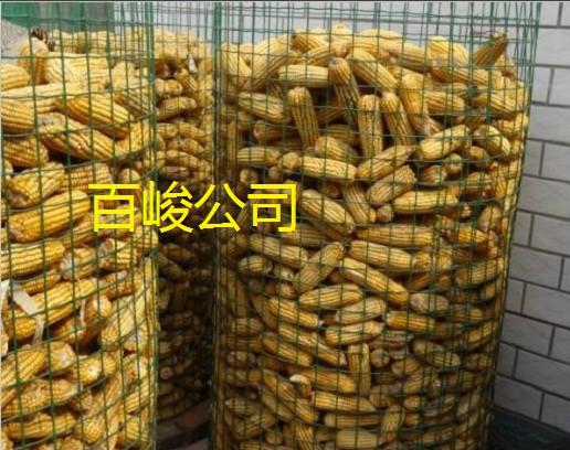 圈玉米网金宣品牌圈玉米网百峻厂家批发