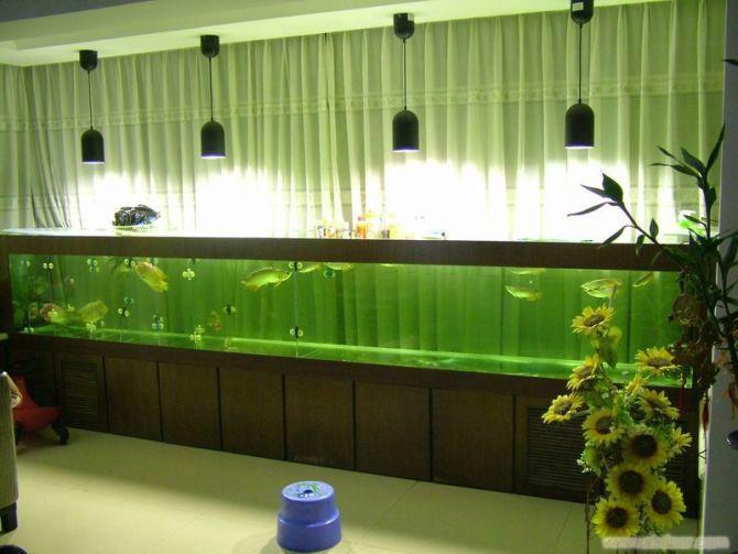 供应水生财鱼缸公司世界之窗海水缸定做制冷鱼缸配置安装