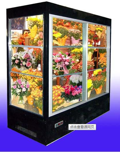 阜阳市鲜花柜保鲜柜鲜花展示柜厂家供应鲜花柜保鲜柜鲜花展示柜