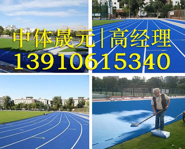 供应北京塑胶跑道专业施工就找中体晟元 天津塑胶跑道厚度图片