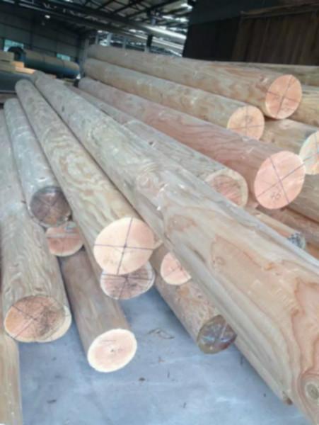 供应红松防腐木红松价格红松碳化木图片