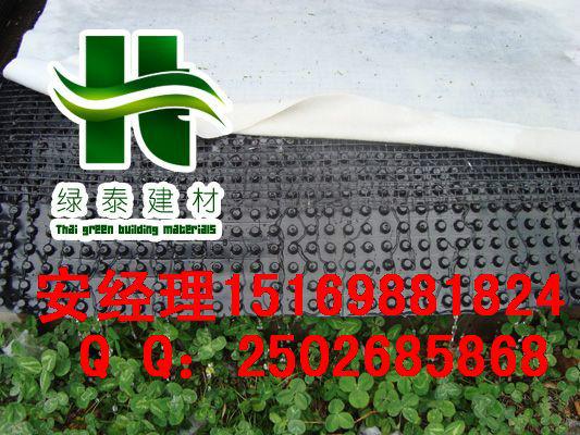 供应衢州屋顶绿化排水板/车库蓄排水板