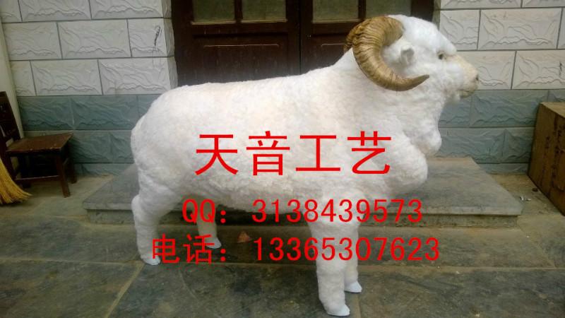 供应仿真绵羊模型民间绵羊皮毛动物标本 小绵羊桌面摆件 可定做