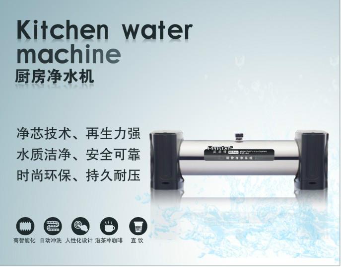 广东最大的净水器厂家供应厨房净水器系列PST-C1图片