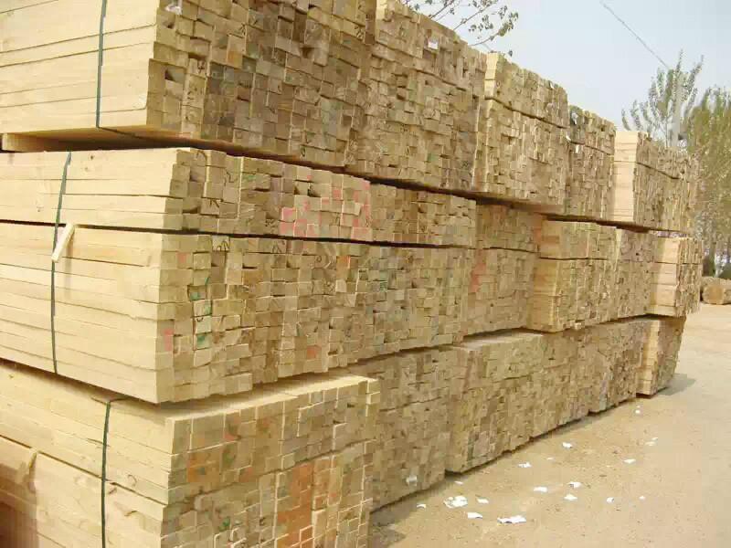 供应板材木方加工,提供桦木原木/木方进口报关代理