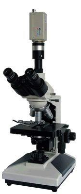 供应倒置生物显微镜价格-上海倒置生物显微镜制造商 DXS-2倒置生物显微镜
