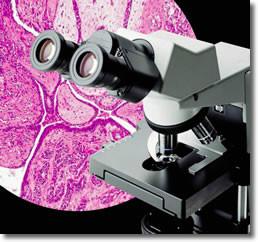 供应血液观察CX41生物显微镜