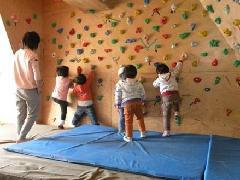 供应用于室内的儿童攀岩墙建设