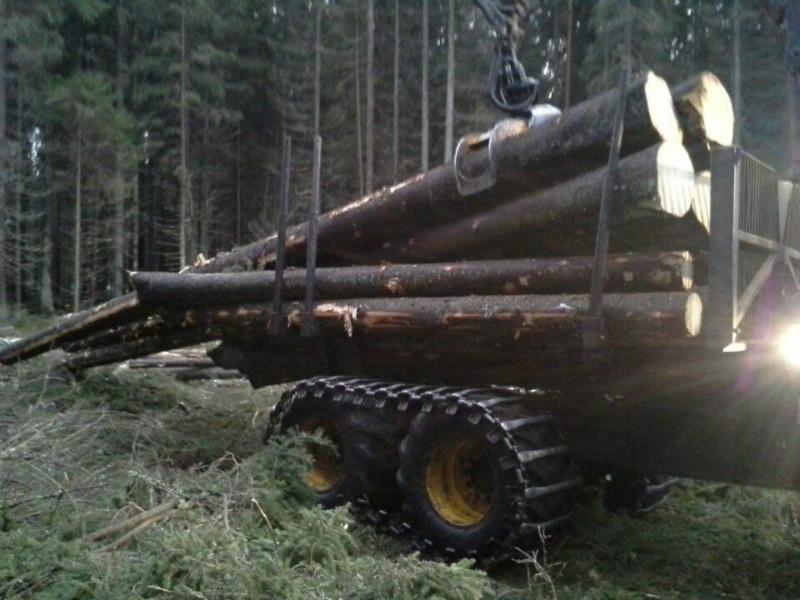 供应椴木原木俄罗斯进口木材fsc认证